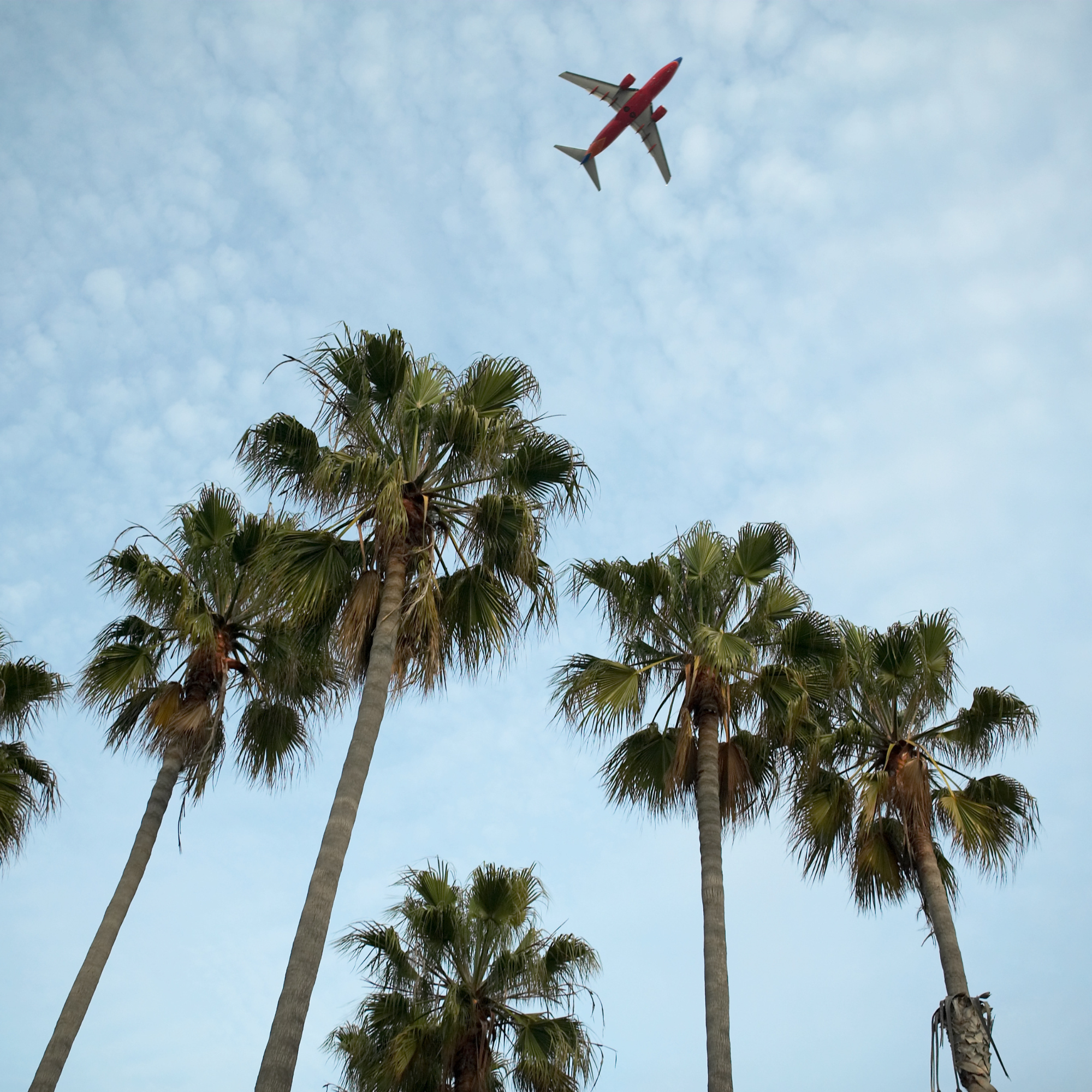travel insurance