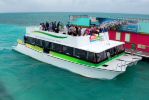 Before You Book Any Tour, Read This Viator Guide (Saves Money + Stress)