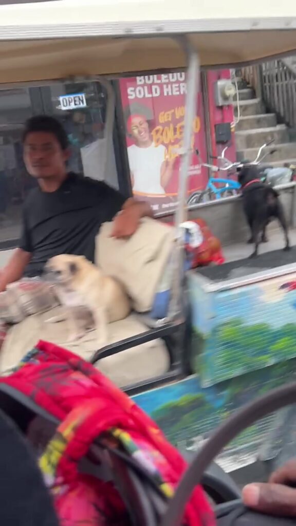 A shop owner sitting in his golf cart with his dog on a street in San Pedro, Belize, outside a store with Boledo lottery signs